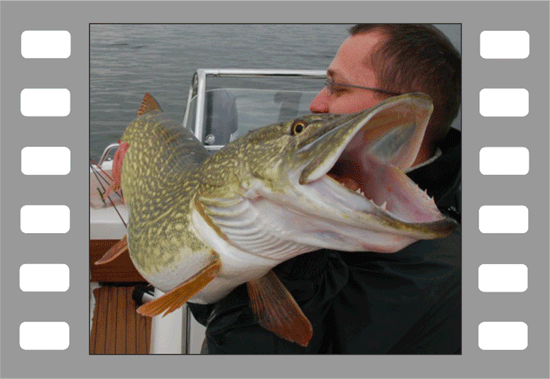 Hechtangeln mit luckylures.eu in den Niederlanden
