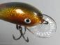 Preview: Nils Master INVINCIBLE Deep Running DR Wobbler, Größe: 5 cm, Farbe: 226 Rainbow Fish Glitter, Gewicht: 6 Gramm