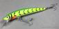Preview: Nils Master INVINCIBLE Floating Wobbler, Größe: 12 cm, Farbe: 088 Green White Fishbones, Gewicht: 24 Gramm
