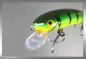 Mobile Preview: Nils Master INVINCIBLE Floating Wobbler, Größe: 12 cm, Sonderfarbe: 160 Green Tiger, Gewicht: 24 Gramm