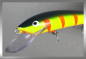 Preview: Nils Master INVINCIBLE Floating Wobbler, Größe: 15 cm, Farbe: 090 Petrol Tiger Red Stripes Tiger, Gewicht: 30 Gramm