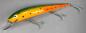 Preview: Nils Master Invincible 25 cm Floating Wobbler, Farbe: 032 grün/orange/rot/gepunktet, Gewicht: 120 Gramm
