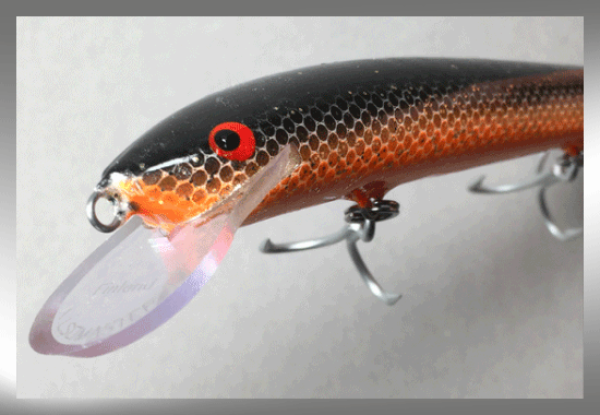 Nils Master Invincible 18 cm Floating Wobbler, Farbe: 152 Orange-Black-Fish, Gewicht: 40 Gramm